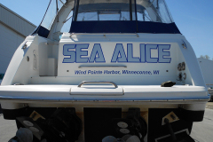 Sea Alice