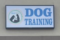 IDEAL-DOG-Training