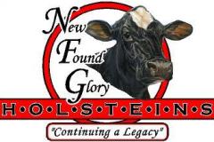 NEW-FOUND-GLORY-HOLSTEINS