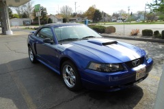 CUSTOM-MUSTANG-1