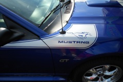 CUSTOM-MUSTANG-2